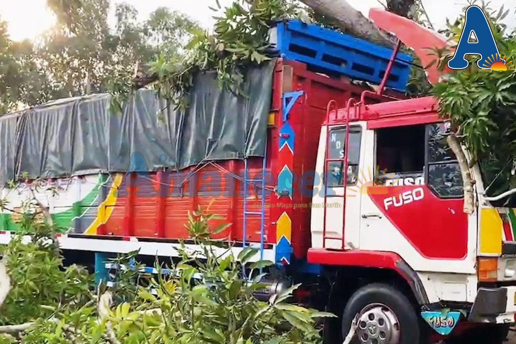 FUERTES VIENTOS DERRIBAN ÁRBOL DE MANGO SOBRE UN CAMIÓN