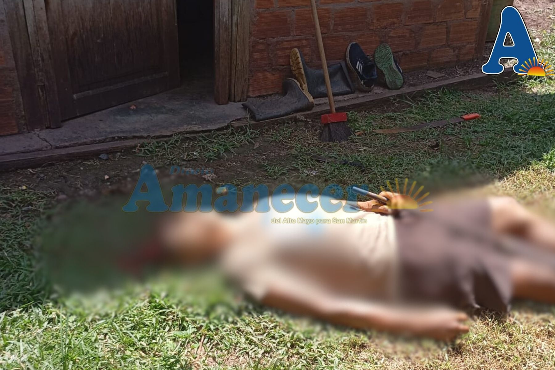 AGRICULTOR FALLECE POR IMPACTO DE ESCOPETA