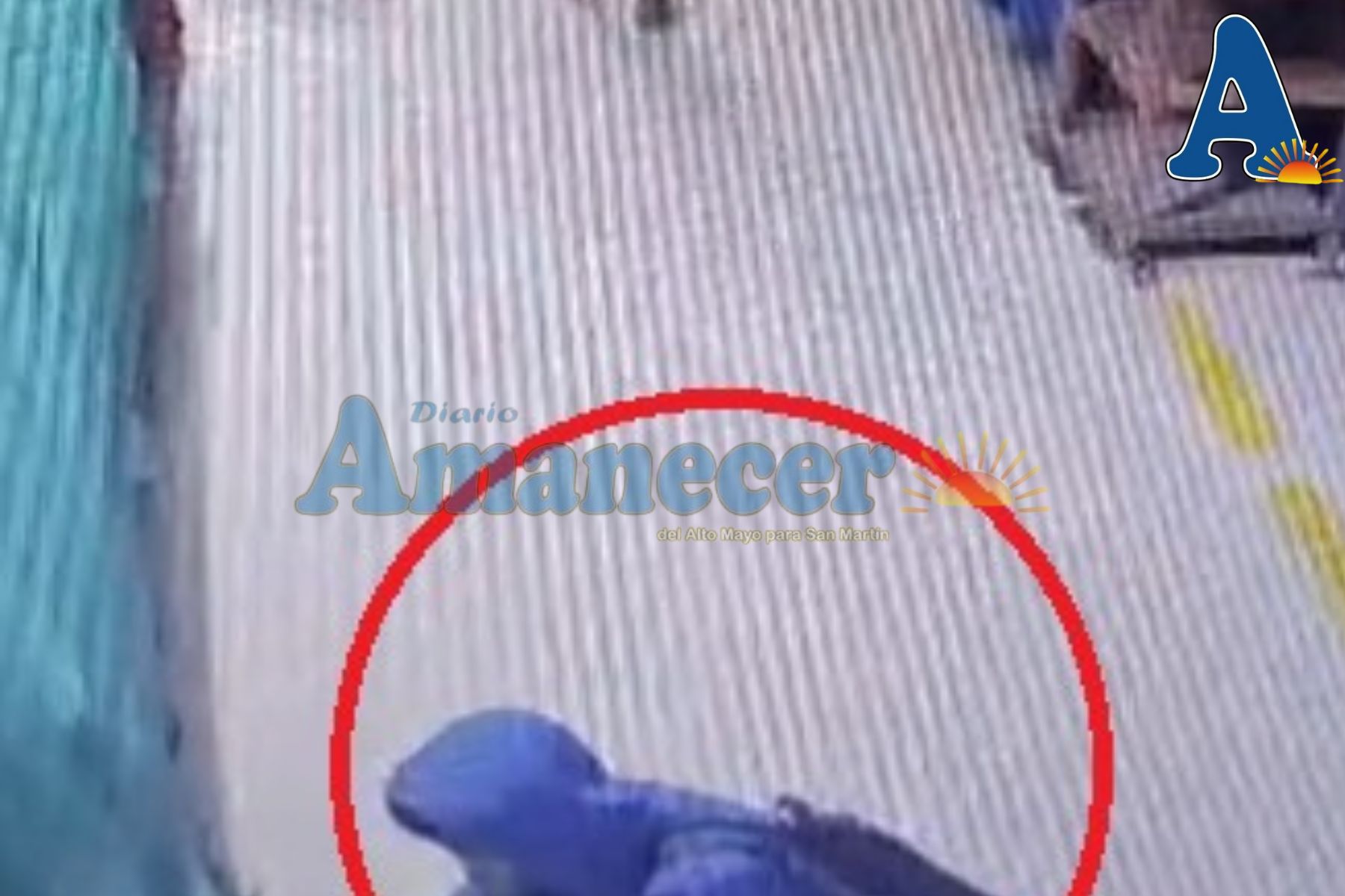 SUJETO FUE CAPTADO HURTANDO PRODUCTOS EN MERCADO CENTRAL