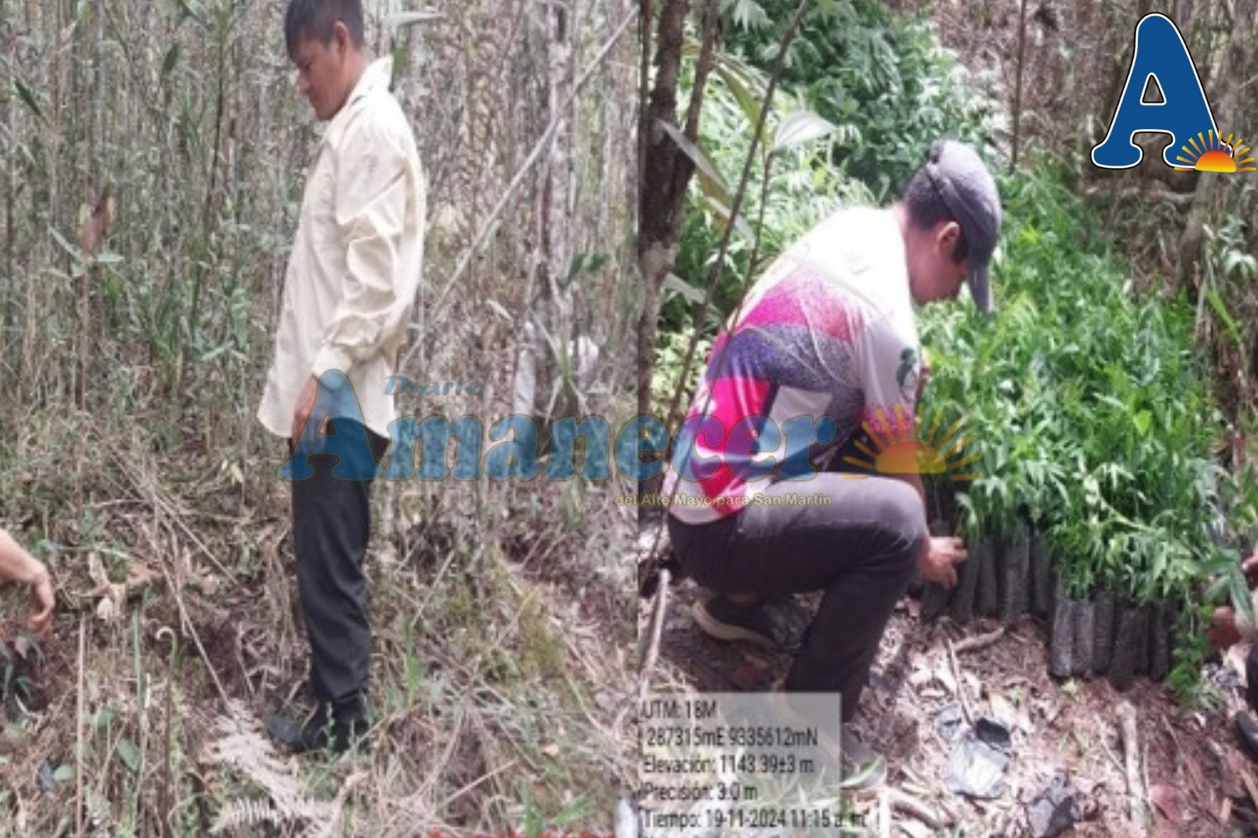 ENTREGAN PLANTONES PARA REFORESTACIÓN