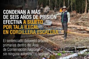Condenan a más de 6 años de prisión efectiva a sujeto